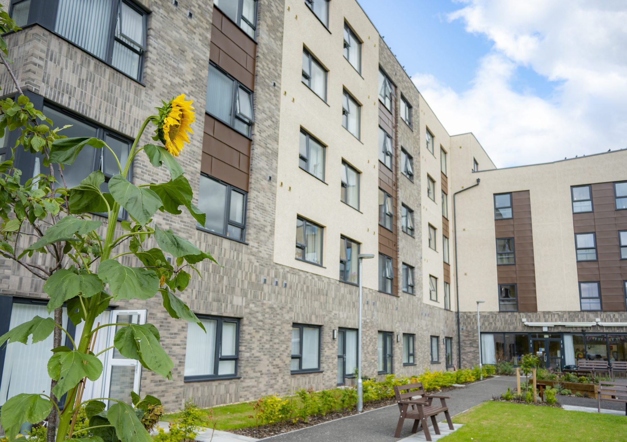 Wilkie Gardens, Galashiels Eildon Housing
