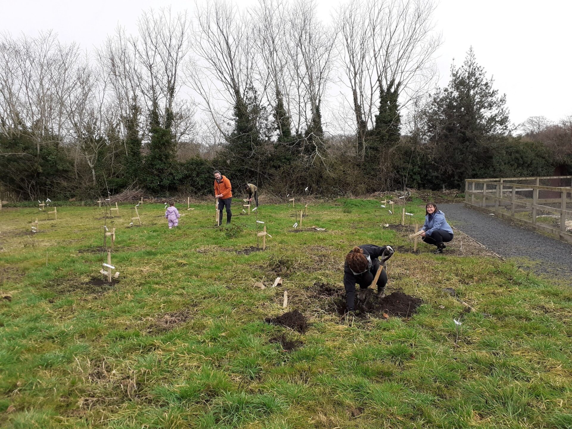 Kelso Community Garden What's on Eildon Housing